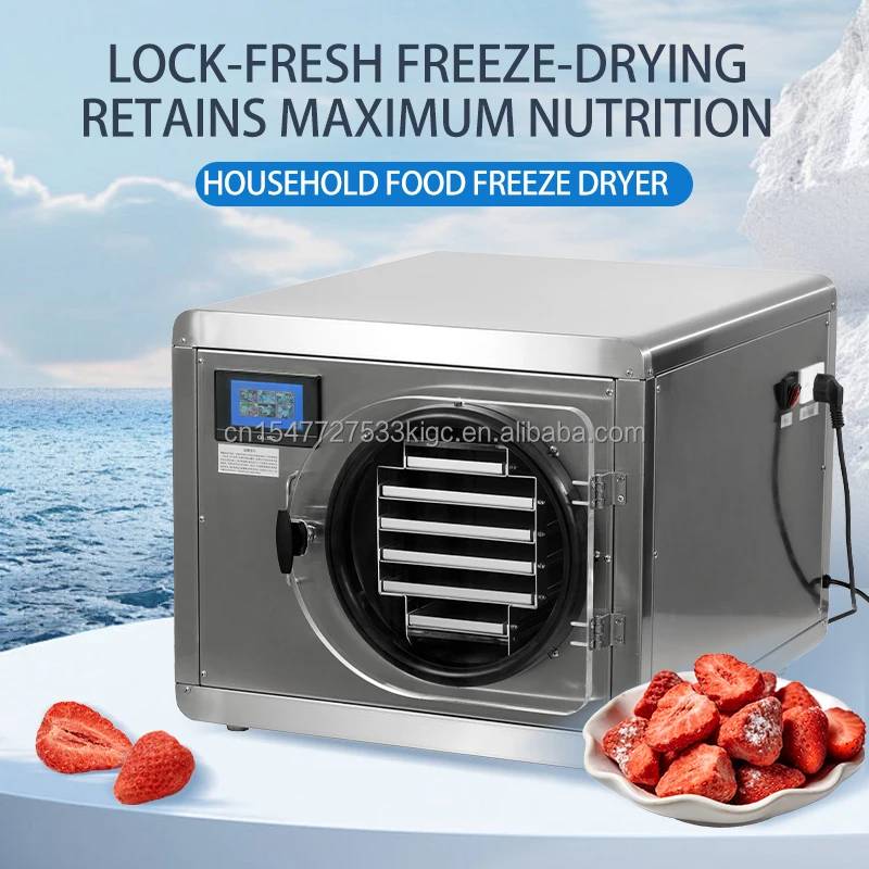 6 Trays Stainless Steel Touch Screen Automatic Vacuum Freeze Dryer for Food Pet Food & Meat